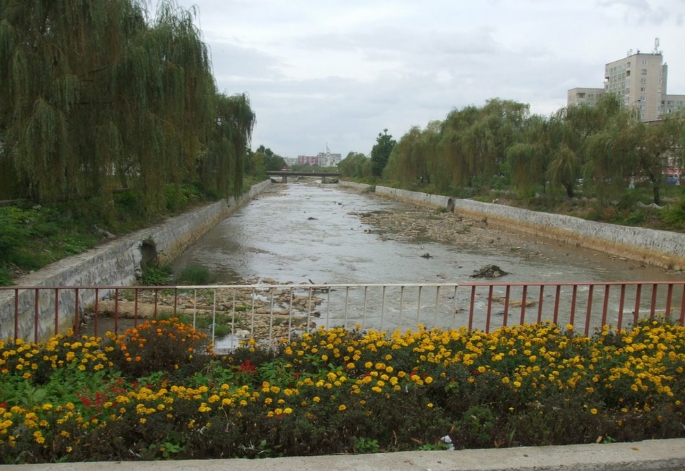 Start pentru amenajarea malurilor râului Săsar! În prima etapă, investiția se cifrează la 4 milioane de euro