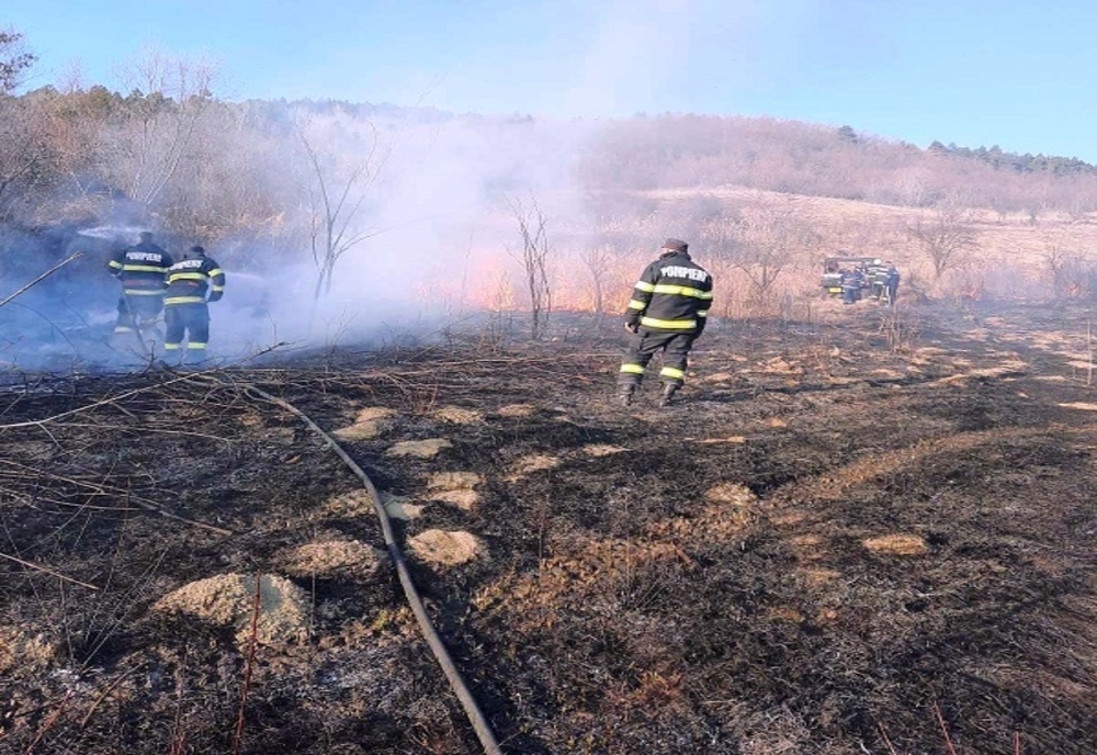 Dâmboviţa. Incendiile de vegetație uscată se extind. Peste 75 de hectare de teren arse într-o singură zi
