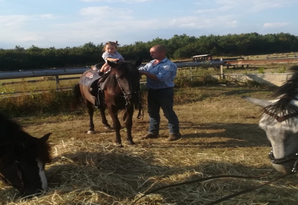 Dâmbovița: Doi cai folosiți la echitație pentru copii, dispăruți de la o fermă! Recompensă pentru cei care găsesc animalele