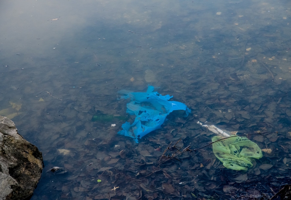 Semnal de alarmă: Zeci de mii de tone de deșeuri  rămân anual necolectate în județele riverane Dunării