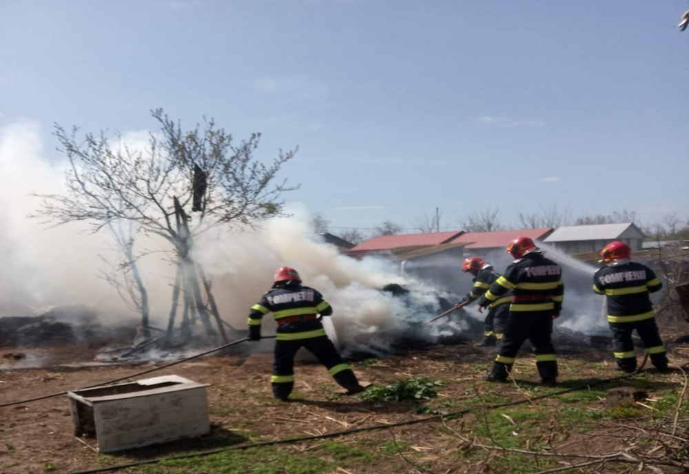 FOTO Incendiu la Valea Ciorii. De la ce au pornit flăcările