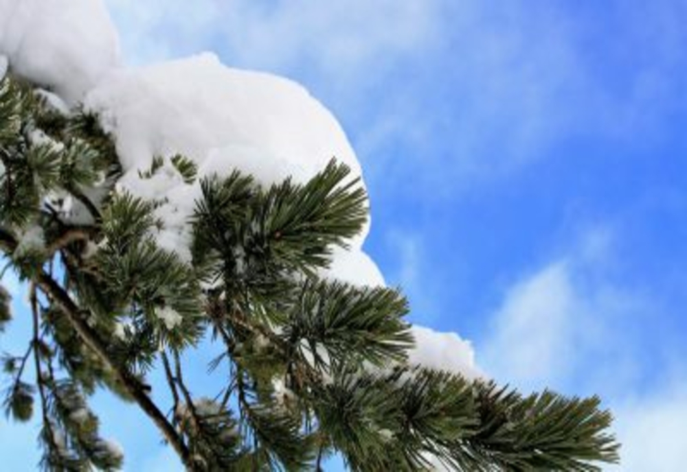 Prognoza meteo: Se anunță ninsori până miercuri