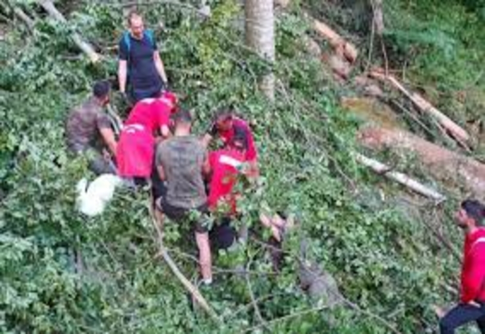 Accident deosebit de grav de muncă într-o pădure din Dâmbovița! Un bărbat a decedat, iar altul a fost rănit