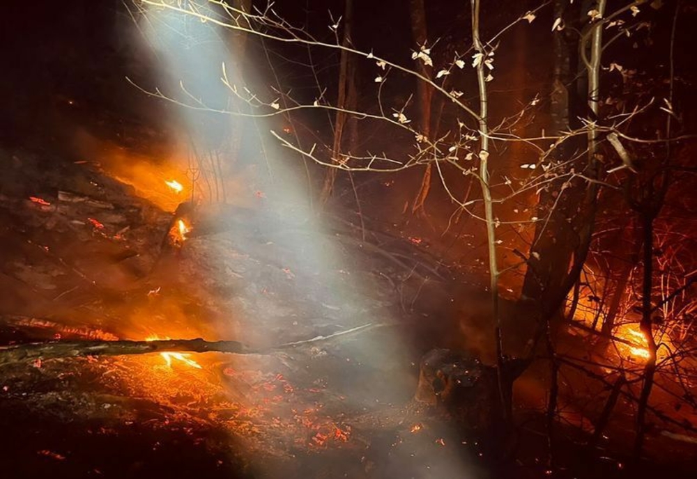 300 de incendii izbucnite la vegetaţie uscată și litieră în Mehedinți de la începutul anului