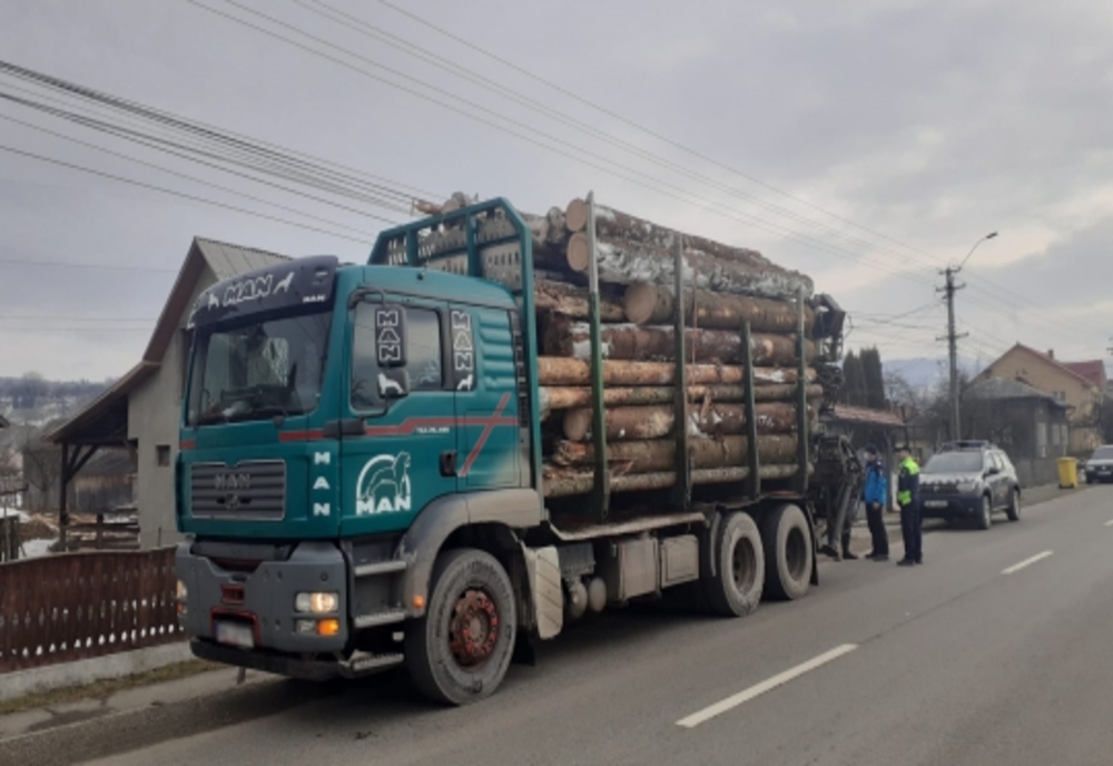 Depozitele și transporturile de material lemnos, la control! Ce amenzi s-au aplicat și cât lemn a fost confiscat