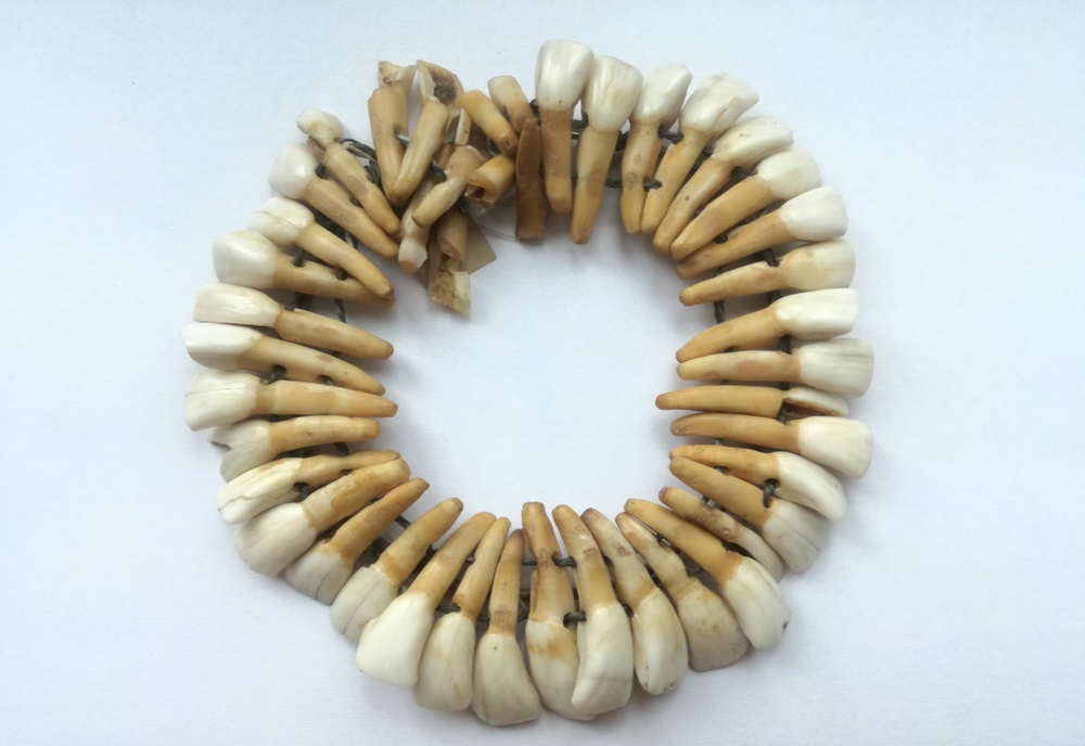 Olt: Colier din dinţi de cal, din epoca romană, în colecţia Muzeului Judeţean