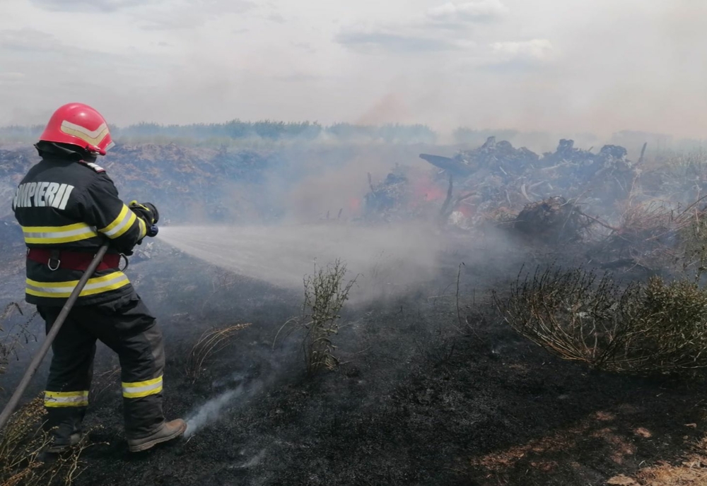 Culturi de grâu și vegetație uscată în flăcări în județul Tulcea 