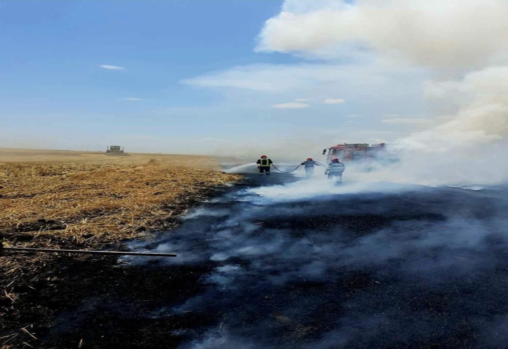 Zeci de hectare de miște și de grâu distruse de un incendiu, la Putineiu