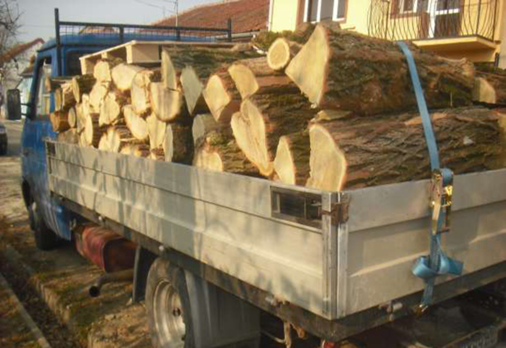 Polițiști amenințați cu moartea pentru că au oprit un transport ilegal de lemne