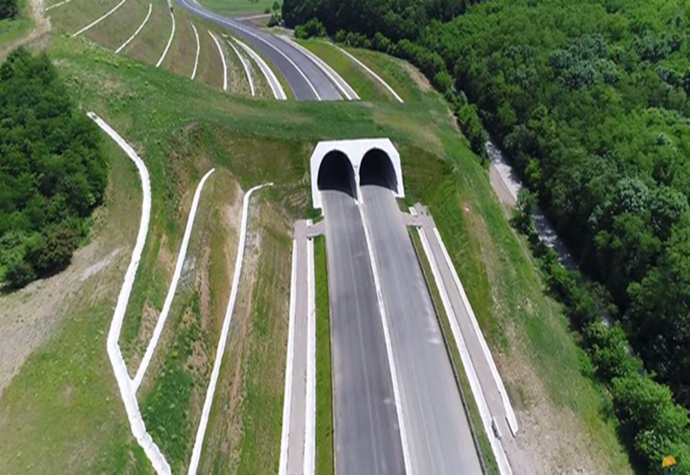 Licitație pentru construcția tunelurilor pentru urși de pe autostrada A1
