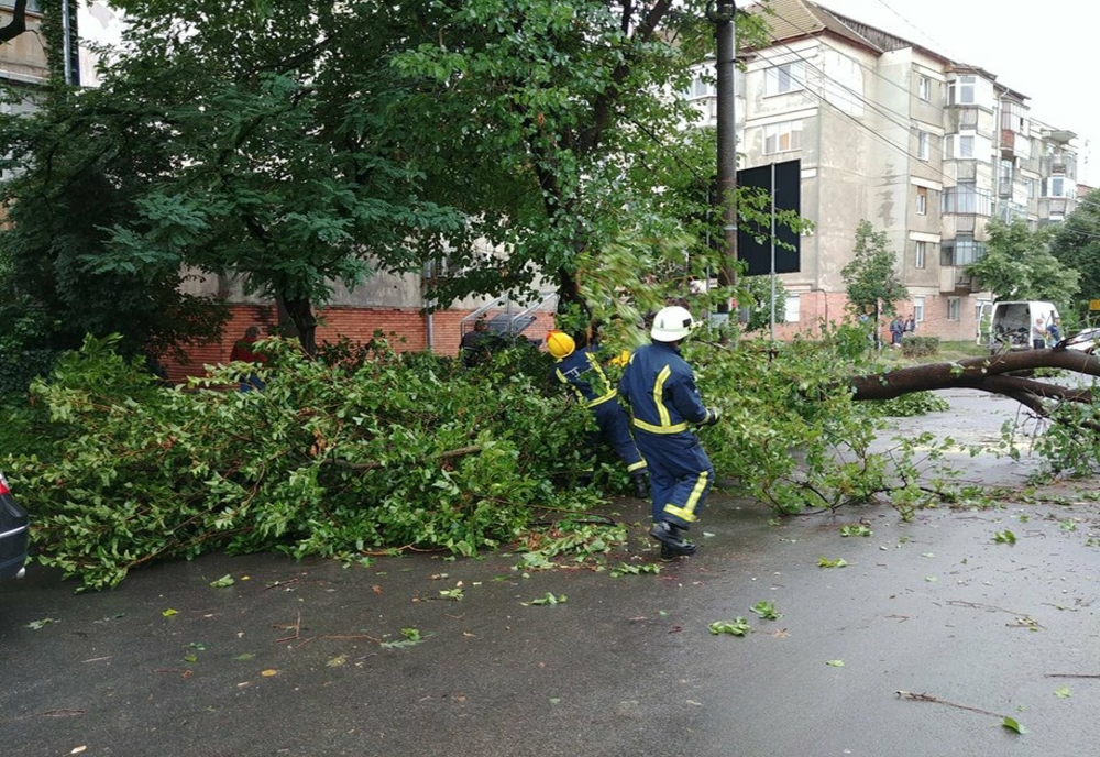 Intervenţii în Ilfov pentru înlăturarea unor copaci doborâţi de furtună