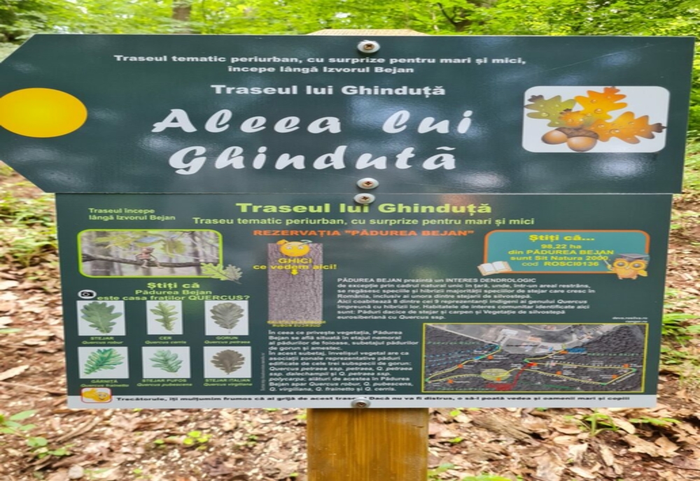 Traseul Stejarilor şi Traseul lui Ghinduţă pentru turiștii care vin în județul Hunedoara