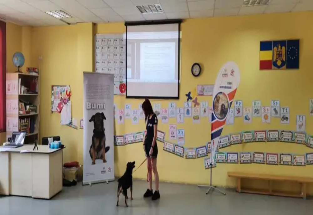 Ora de relaxare cu animale, proiect pentru școlile din Ilfov