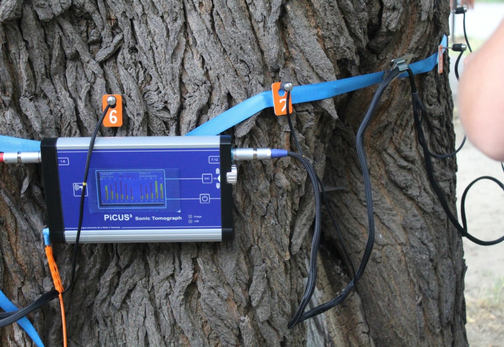 Video: Primăria Brăila a achiziționat un aparat de scanare a stării de sănătate a arborilor