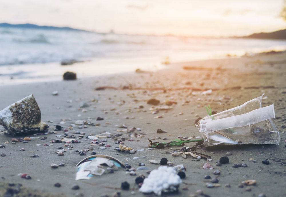 Alertă pe litoral! Zeci de tone de deșeuri aruncate de turiști pe plajă și în apa mării
