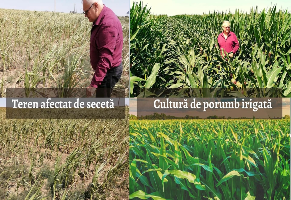 La nivelul județului Brăila s-a constituit Comisia de constatare a pagubelor la culturile agricole generate de seceta pedologică