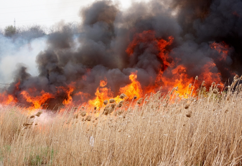VIDEO Nouă incendii violente de vegetație uscată în Tulcea