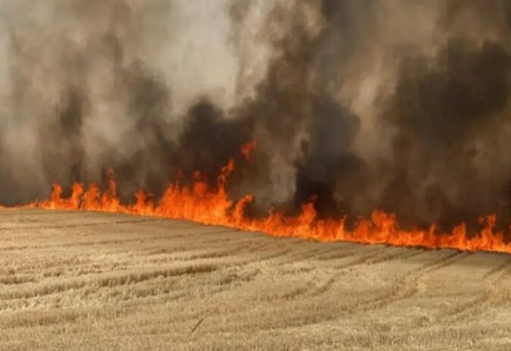 Arad: Sesizări penale pentru incendii provocate; 627 de hectare au ars în trei luni, jumătate cultivate