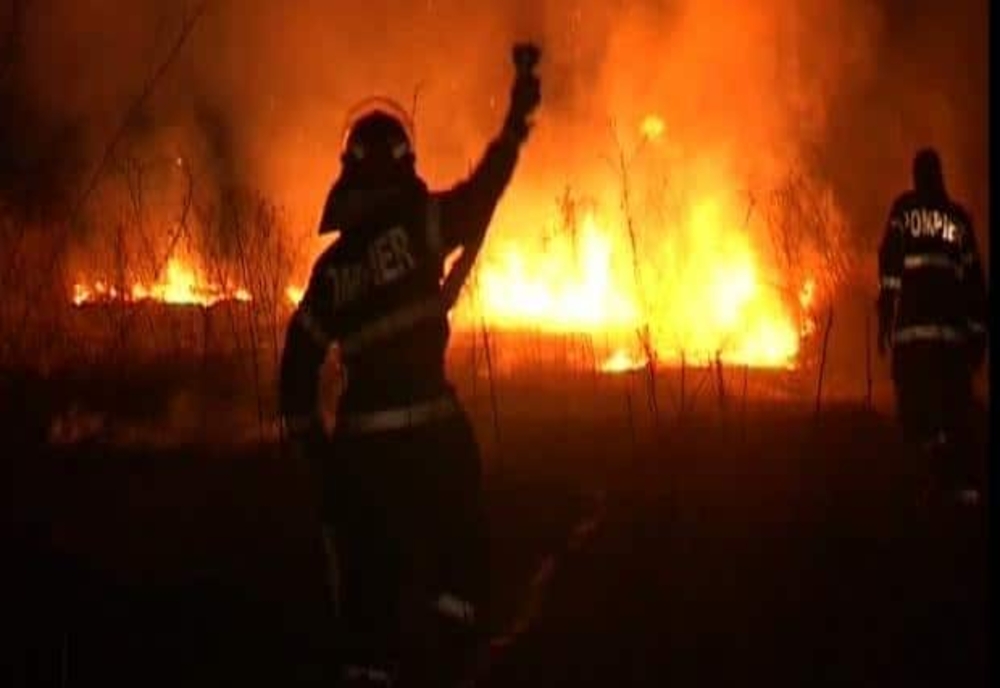 Incendiu de vegetație violent, la marginea Ploieștiului. Ard 20 de hectare