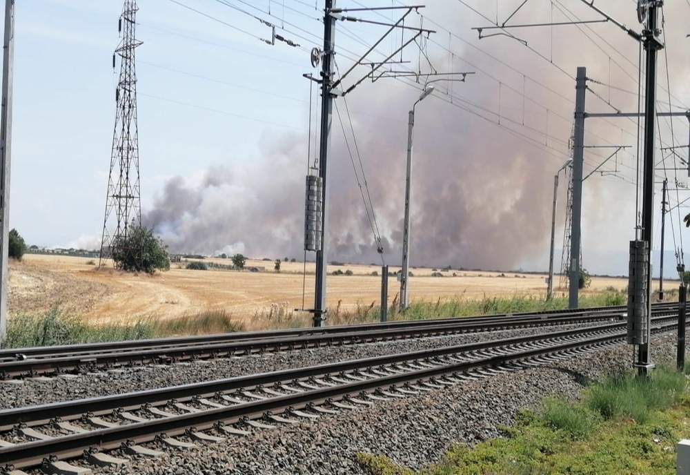 A luat foc un lan de grâu, între localitățile Horia și Vladimirescu