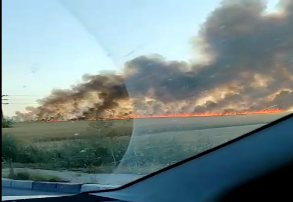 VIDEO Incendiu violent la Năvodari. Lan de grâu cuprins de flăcări