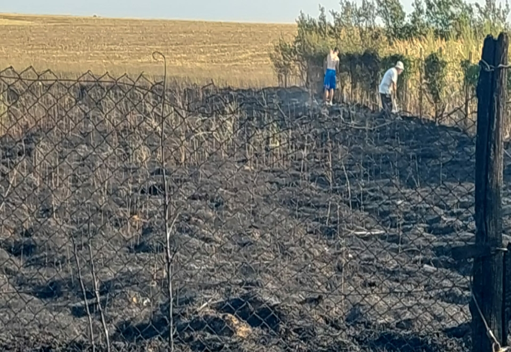 VIDEO. Incendiu pe 100 de hectare de mirişte, în Piatra-Olt. Focul s-a propagat la culturi agricole şi gospodării