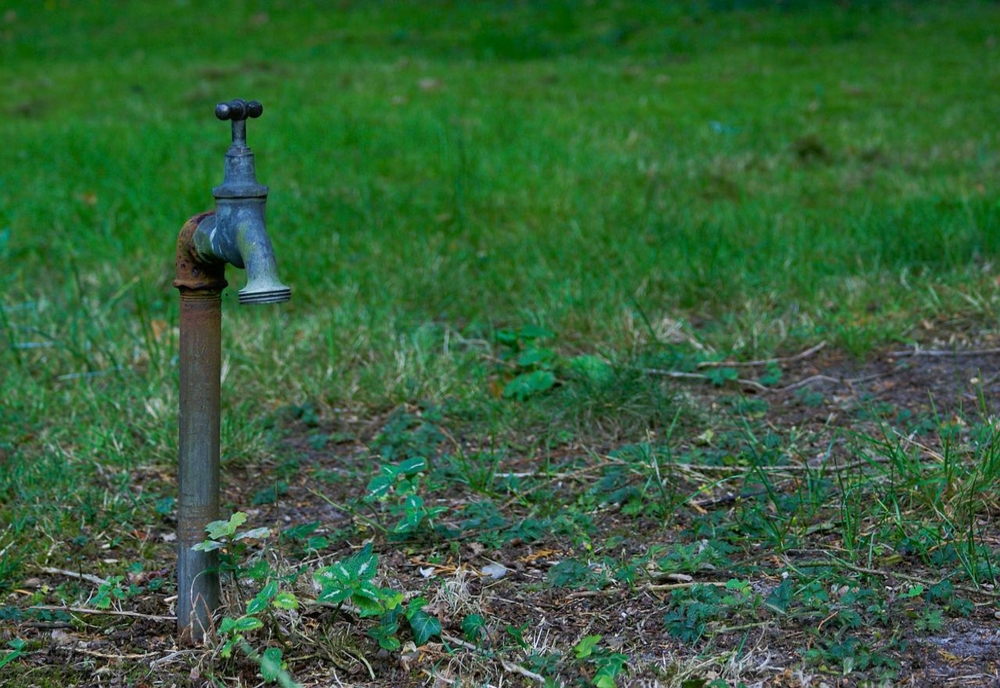 Petre Daea: Din nefericire, în Teleorman, Olt şi Dolj nu mai avem apă pentru a iriga!