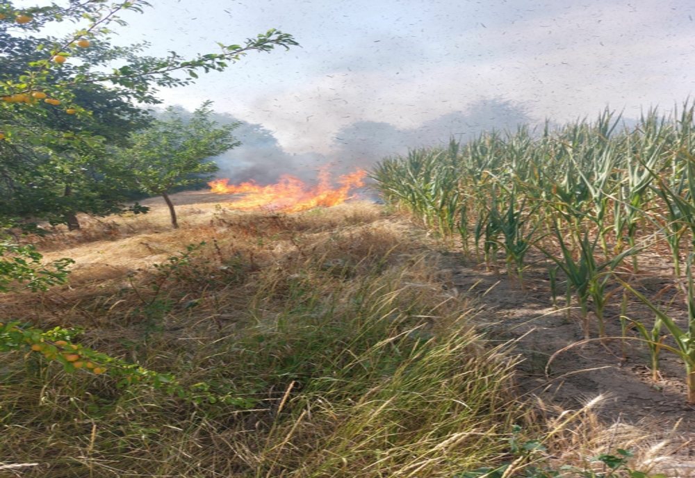 Peste 26 de hectare de vegetație uscată și culturi agricole au ars în doar câteva ore în județul Arad