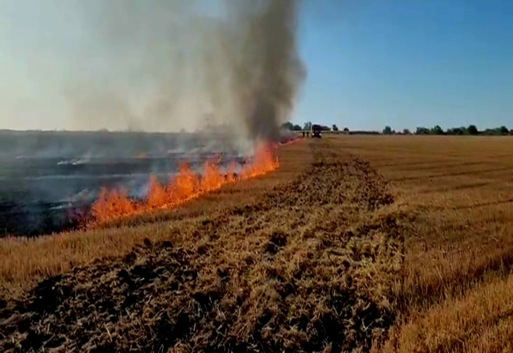 Incendiu de vegetaţie uscată, mirişte de grâu şi gunoi menajer, la Putineiu. Au ars aproximativ 10 hectare