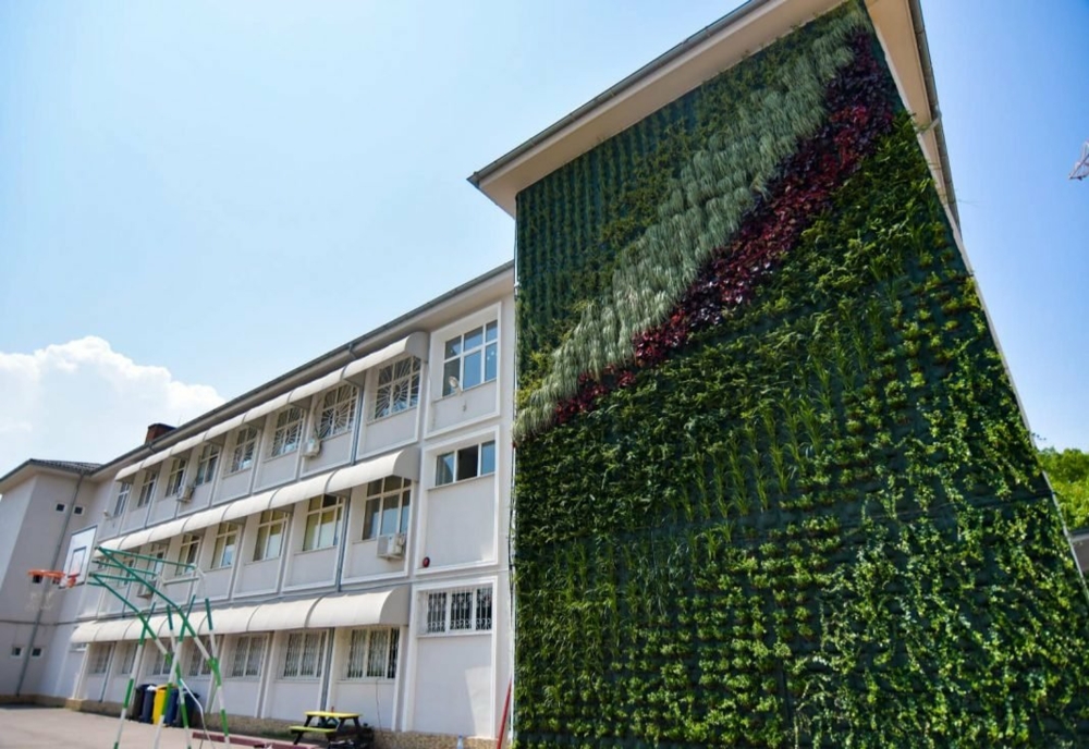 Spaţiile verzi, extinse pe faţadele clădirilor, la Craiova