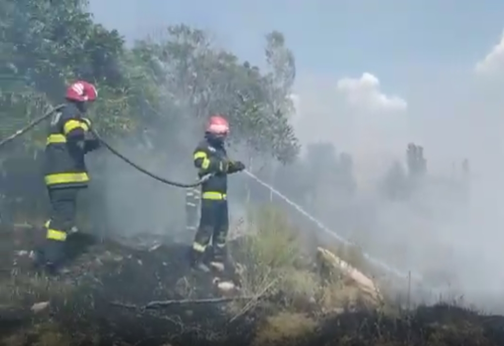 Incendiu de vegetație în municipiul Galați