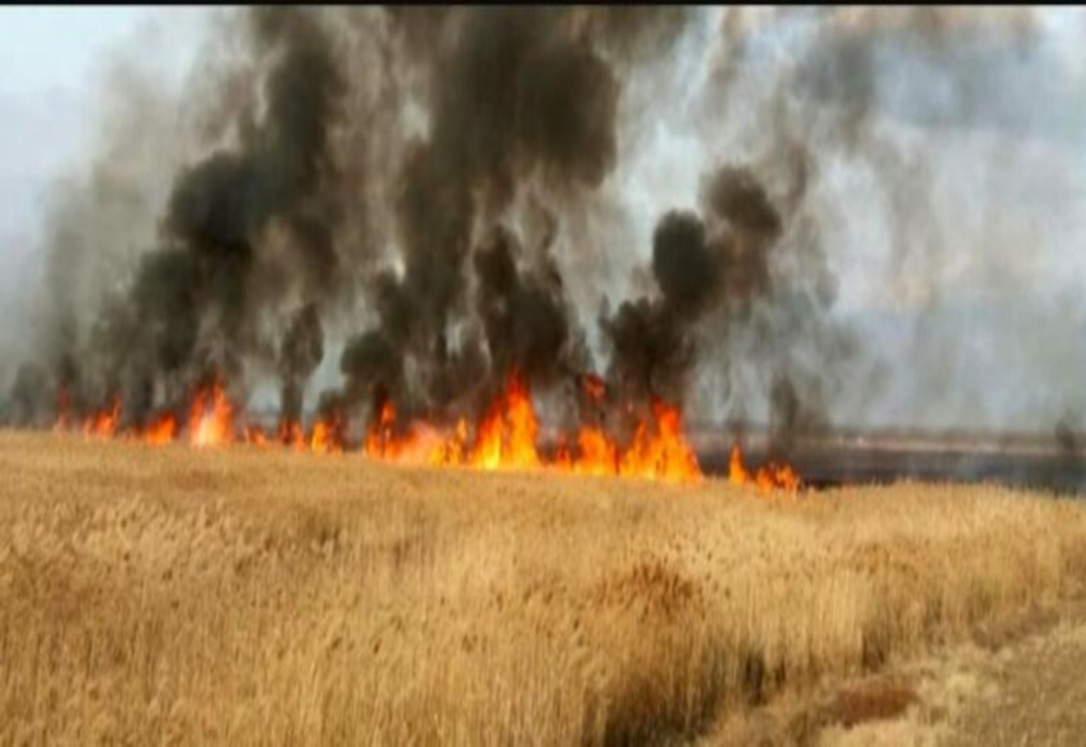 Incendiu de proporții într-o comună din Dâmbovița! Un lan de grâu de peste 40 de hectare, mistuit de flăcări. Au intervenit în ajutor pompierii de la ISU Bucureşti-Ilfov