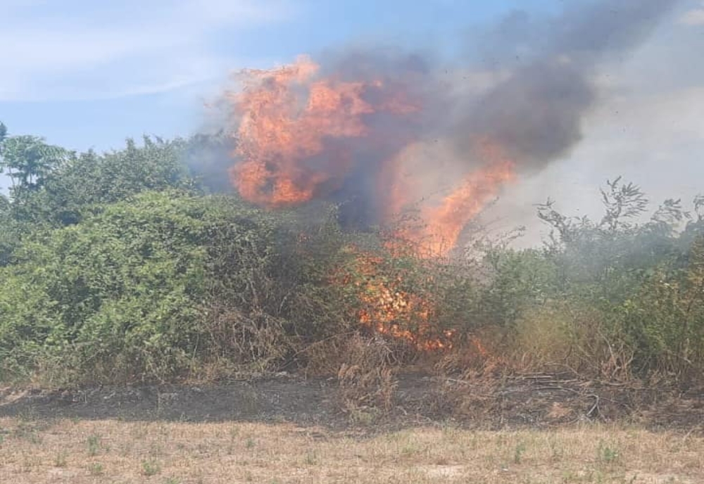 FOTO Alertă în Călărași! Patru incendii de vegetație uscată în doar opt ore