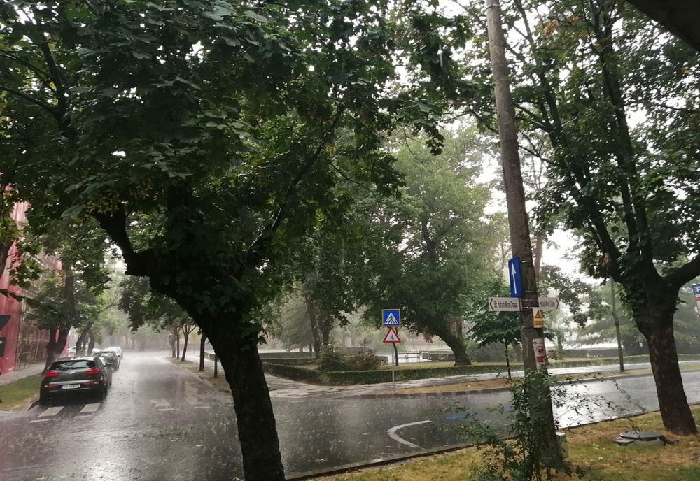 Urmările furtunii care a măturat județul Timiș.  Copaci căzuți, acoperișuri smulse, beciuri inundate