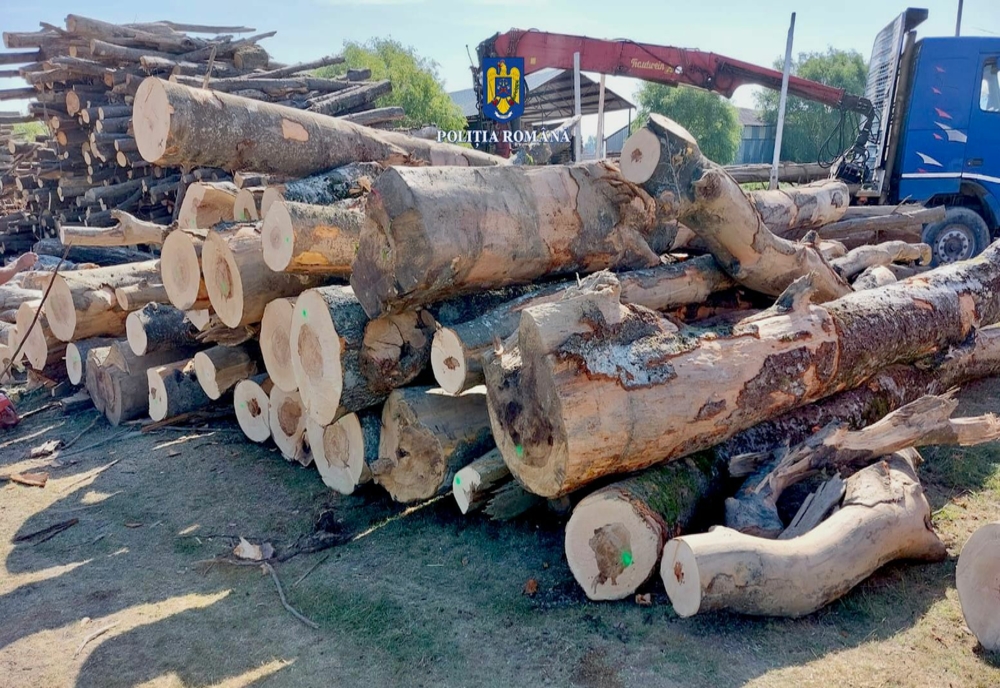 Peste 1.400 de metri cubi de material lemnos, confiscați în prima jumătate a anului, în Caraș-Severin