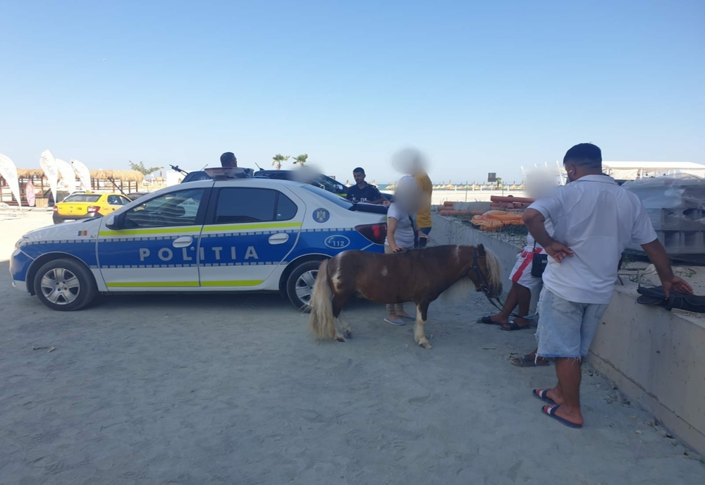 FOTO Ponei chinuiți pe plajă, salvați de polițiști. Amendă drastică pentru proprietari