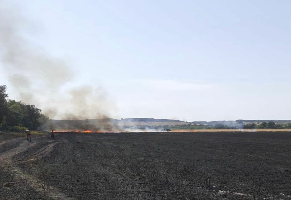 Încă un incendiu de lan de grâu în județul Arad –  ard hectare de culturi
