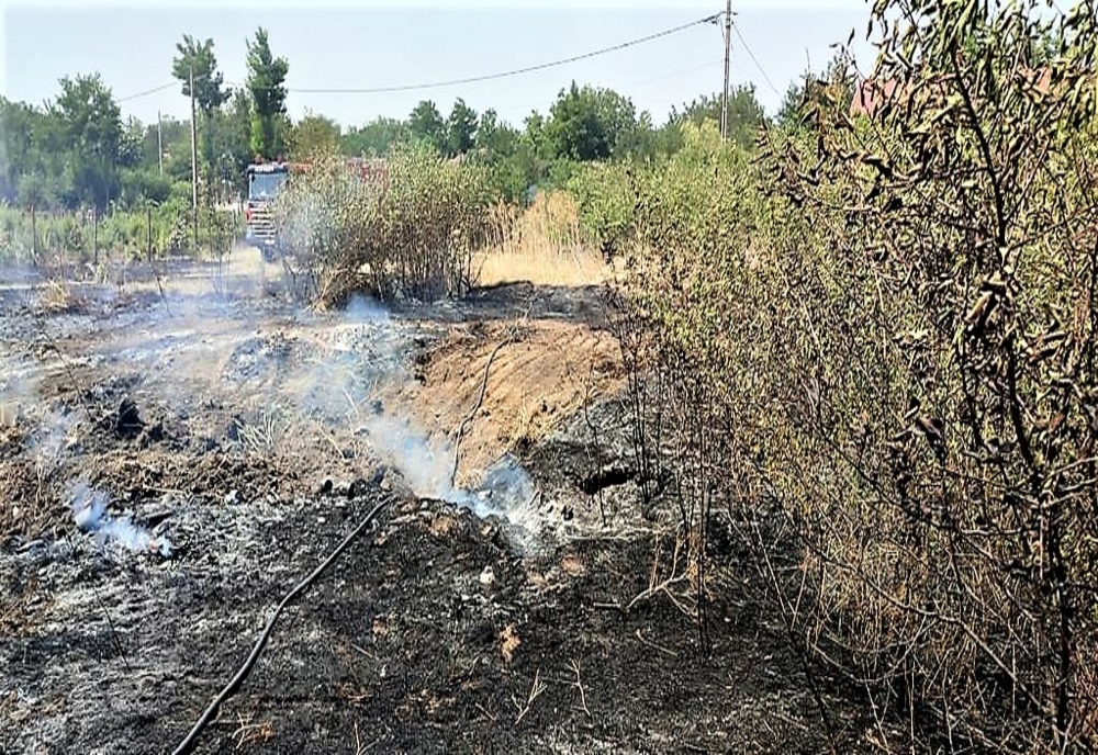 Incendiu vegetație uscată în municipiul Arad