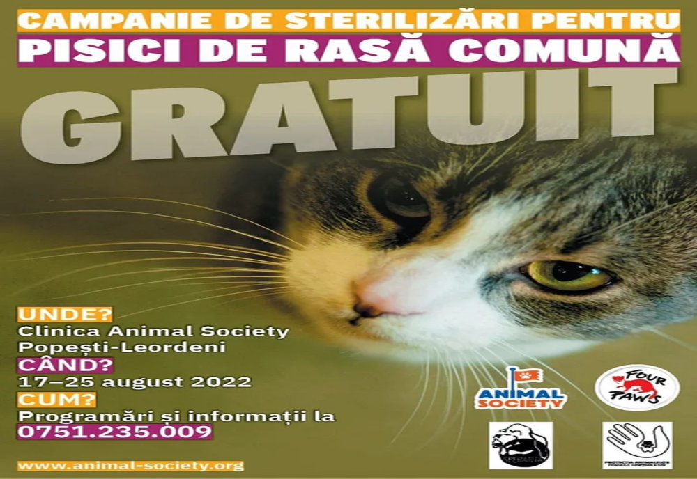 Popești-Leordeni: Sterilizări gratuite în Ilfov pentru pisici de rasă comună