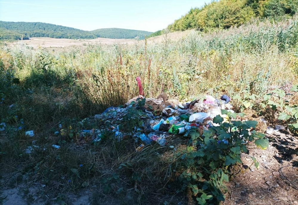 Încă un bărbat din Bistrița-Năsăud amendat cu 10.000 lei, după ce a aruncat deșeuri în natură