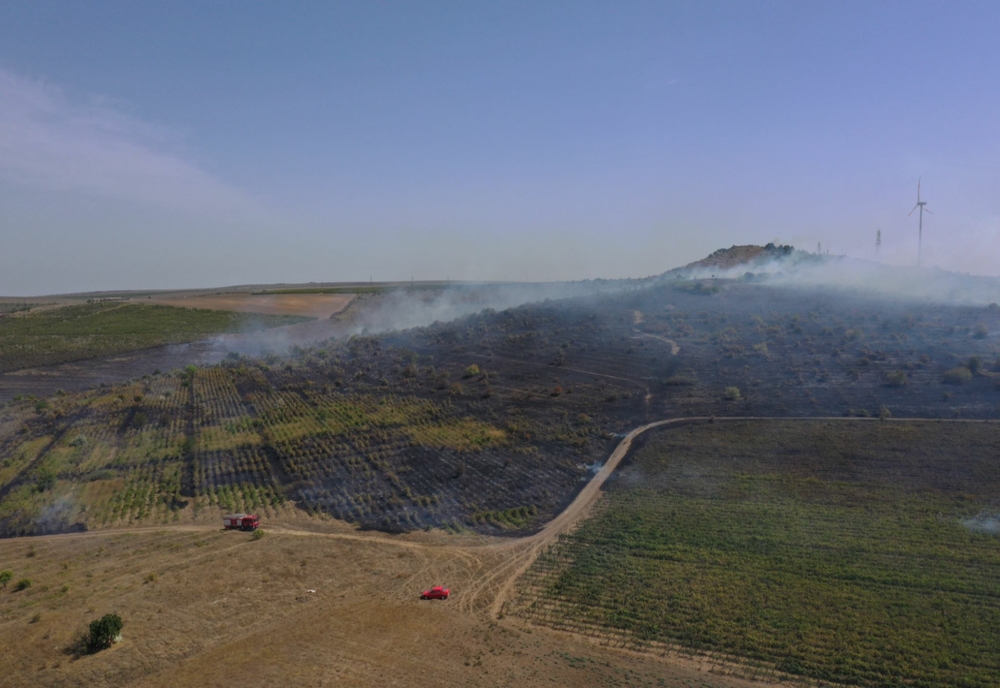 FOTO VIDEO Incendiu violent în apropierea municipiului Tulcea