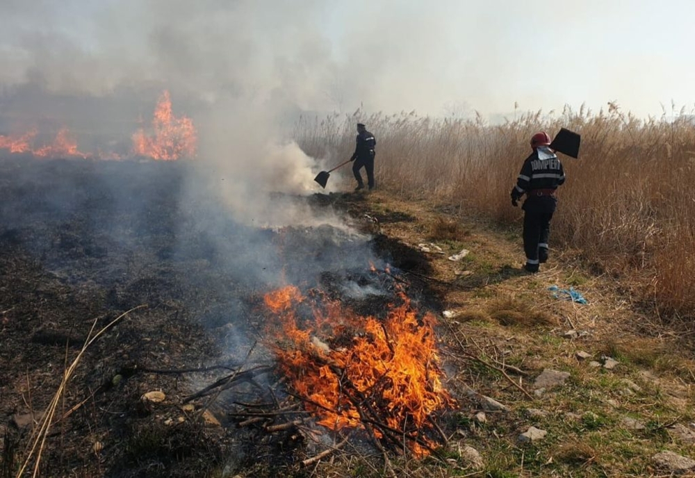 Dâmbovița. Aproximativ 30 de hectare ard în urma unui izbucnirii unui incendiu de vegetație uscată