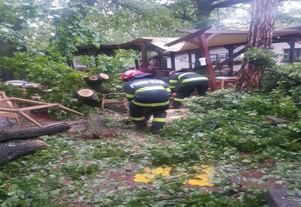 Video: Furtuna a făcut rafagii în Buzău. Copac doborât de vânt la o terasă din Parcul Crâng