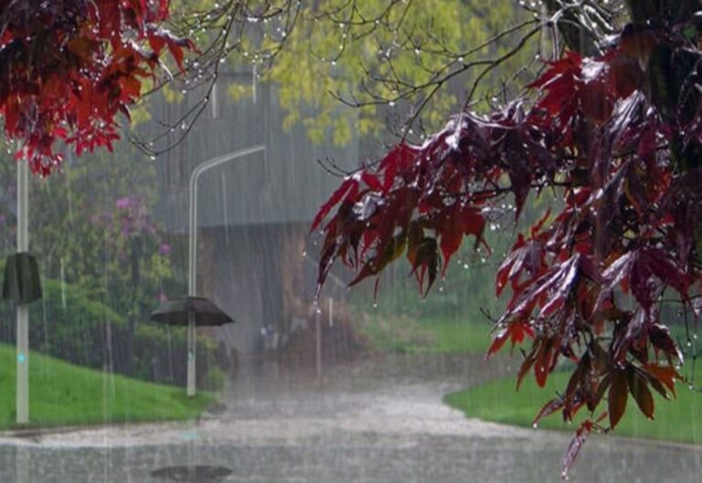 Dâmbovița. Alertă meteo de vreme rea! Cod galben de ploi torențiale, vijelii și grindină