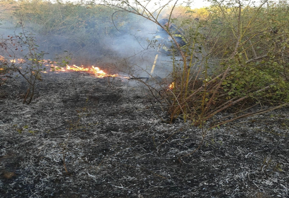 Incendiu vegetație uscată în Municipiul Arad, la ieșirea din Cartierul Gai