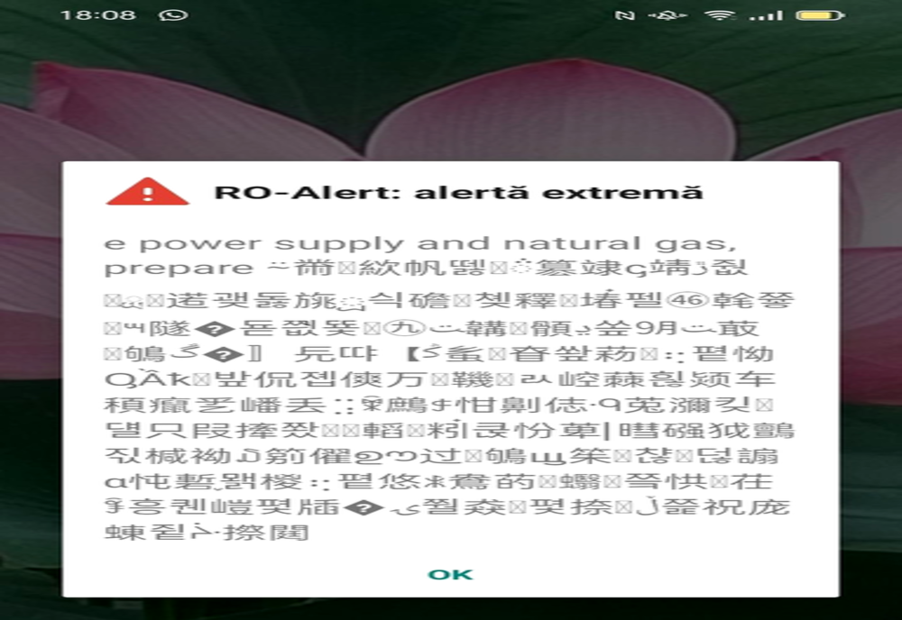 Un bărbat din Cluj a primit un mesaj Ro-Alert de furtună în limba chineză. De ce s-a întâmplat acest lucru