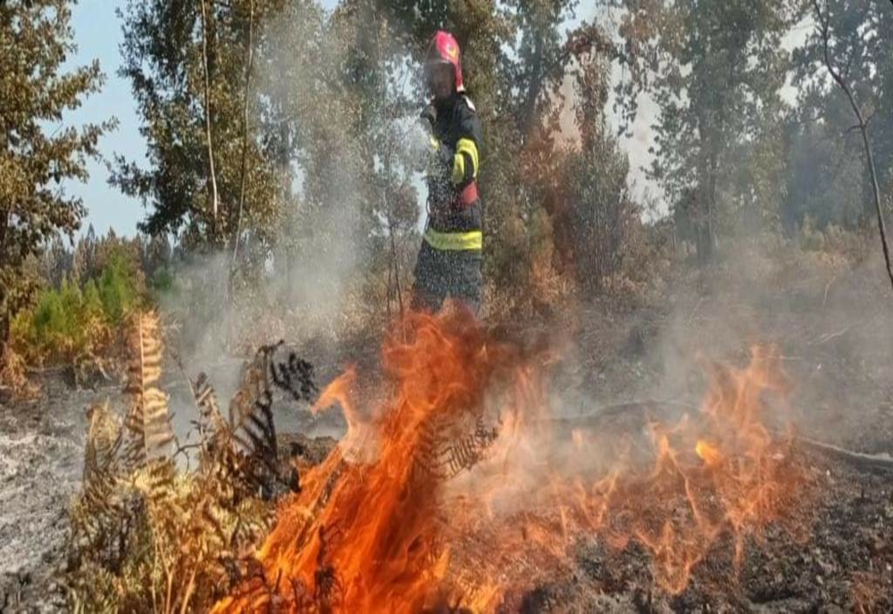 Doi pompieri din Mehedinți la incendiile din Franța