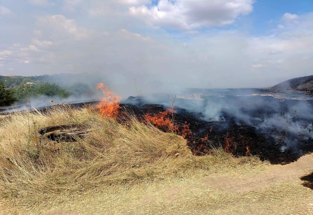 Giurgiu. Patru hectare de mirişte au ars la Daia, din cauza focului deschis