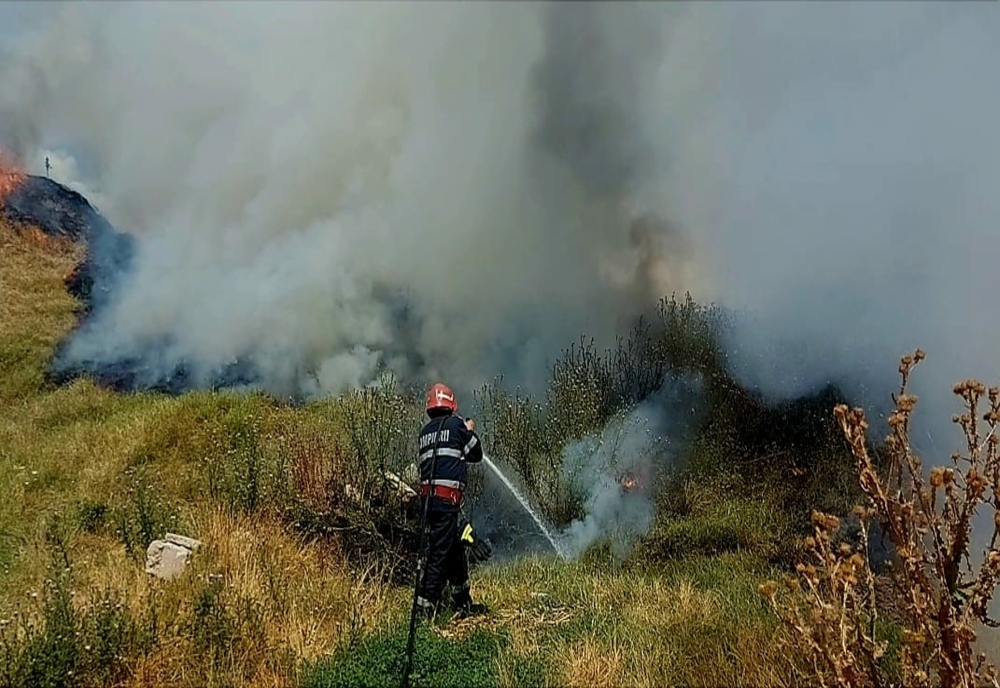 Giurgiu. Pompierii au intervenit la patru incendii de vegetaţie uscată