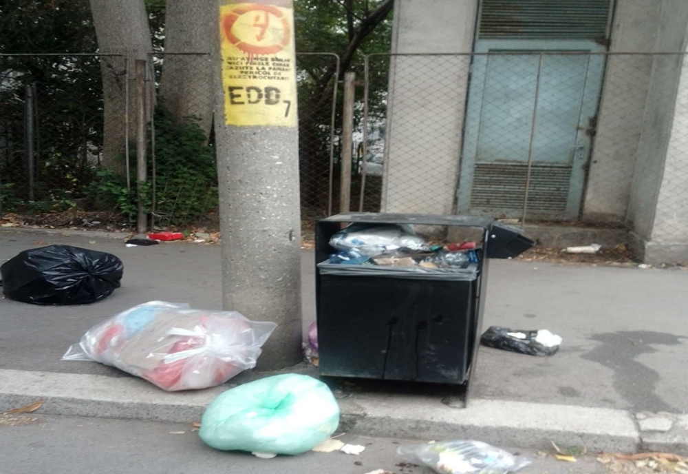 Lași gunoi pe străzi, plătești! Amenzi de peste 178.000 de lei date de polițiștii locali